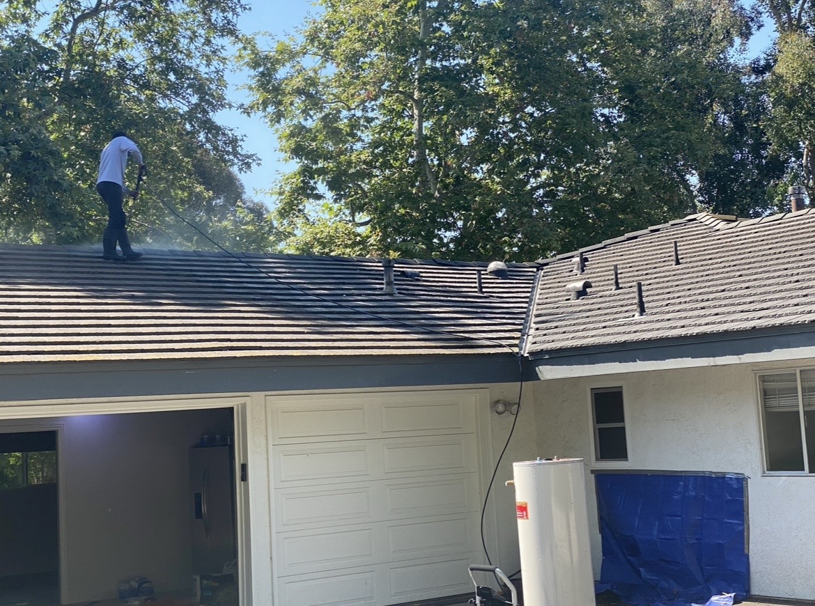 Roof cleaning